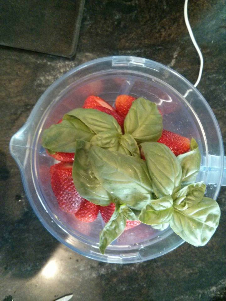 fruit-leather-ingredients