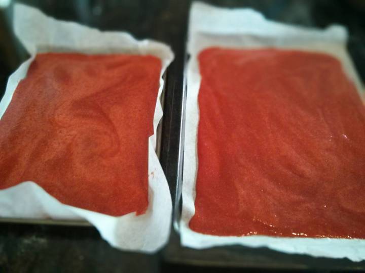 fruit-leather-uncooked